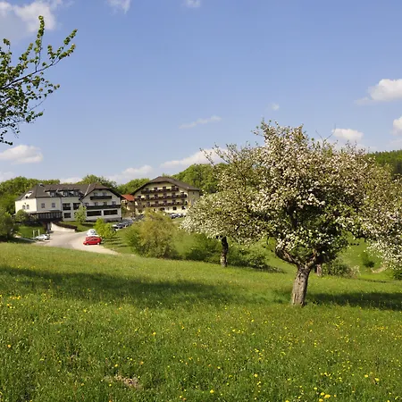 Wienerwaldhof Szálloda Tullnerbach-Lawies