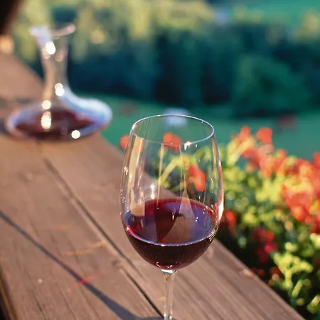 Szálloda Wienerwaldhof Rieger