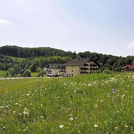 Ξενοδοχείο Wienerwaldhof Tullnerbach-Lawies