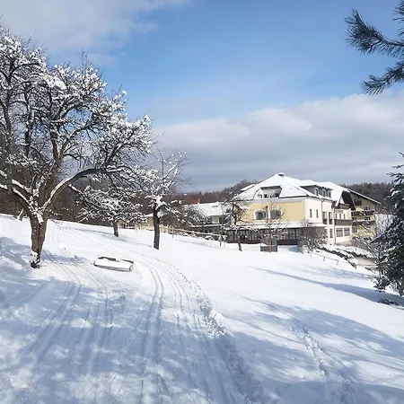 Wienerwaldhof Rieger Hotell Tullnerbach-Lawies