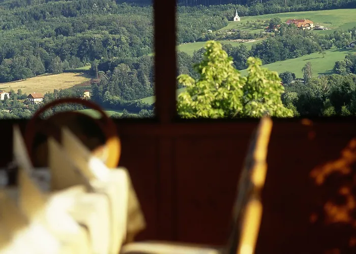 Hotel Wienerwaldhof טולנרבאך - לאוויס