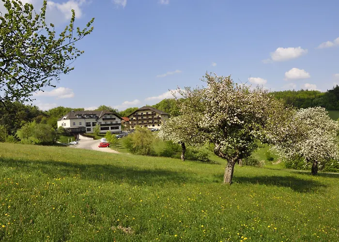 Hotel Wienerwaldhof מלון טולנרבאך - לאוויס