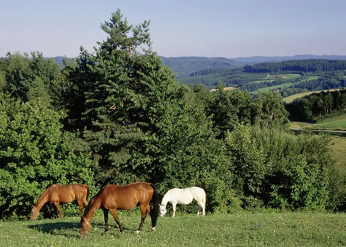 Hotel Wienerwaldhof מלון