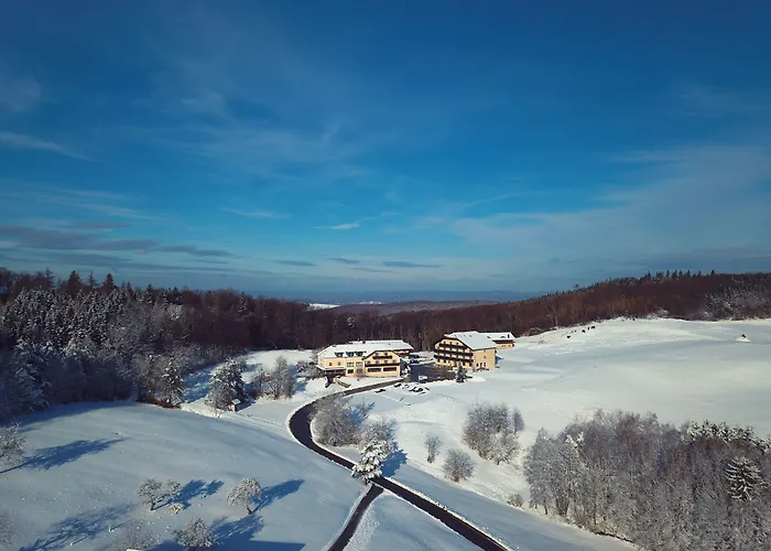 Wienerwaldhof Отель