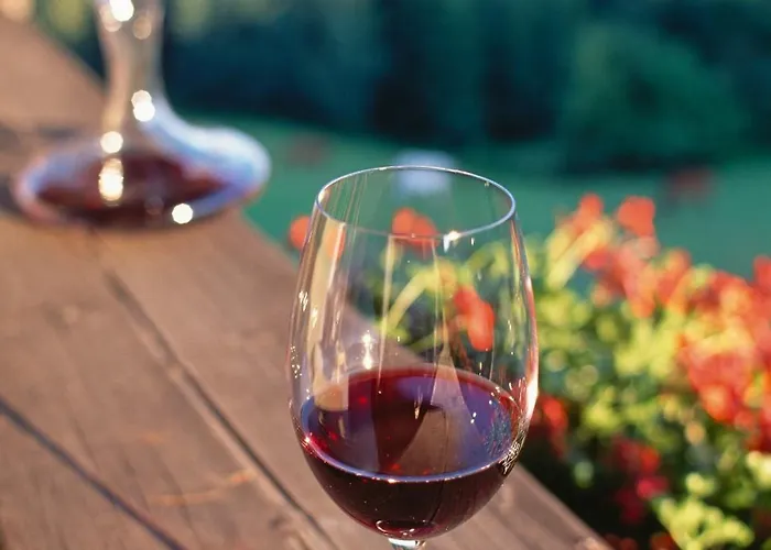 מלון Hotel Wienerwaldhof